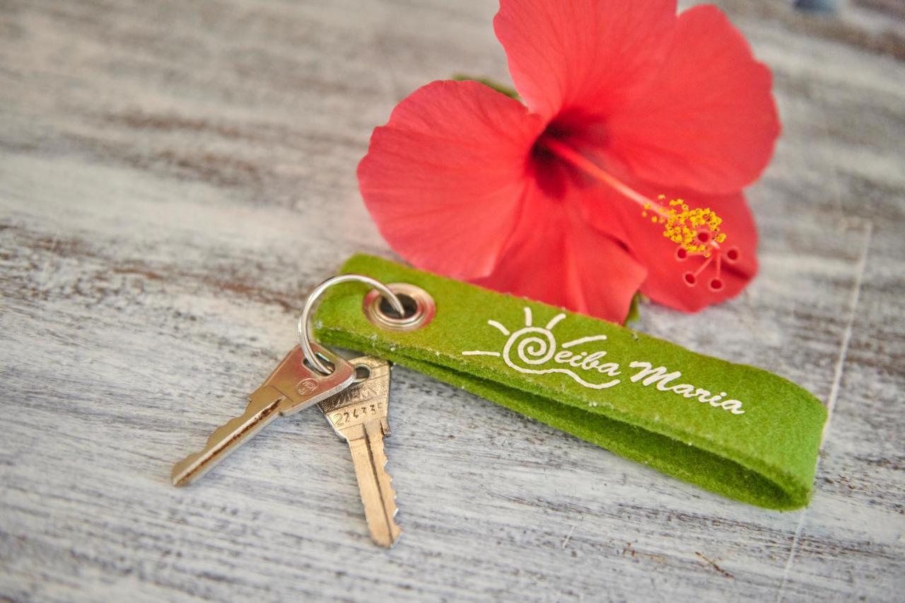 Casa Ceiba Maria Hotel Cala d'Or  Ngoại thất bức ảnh