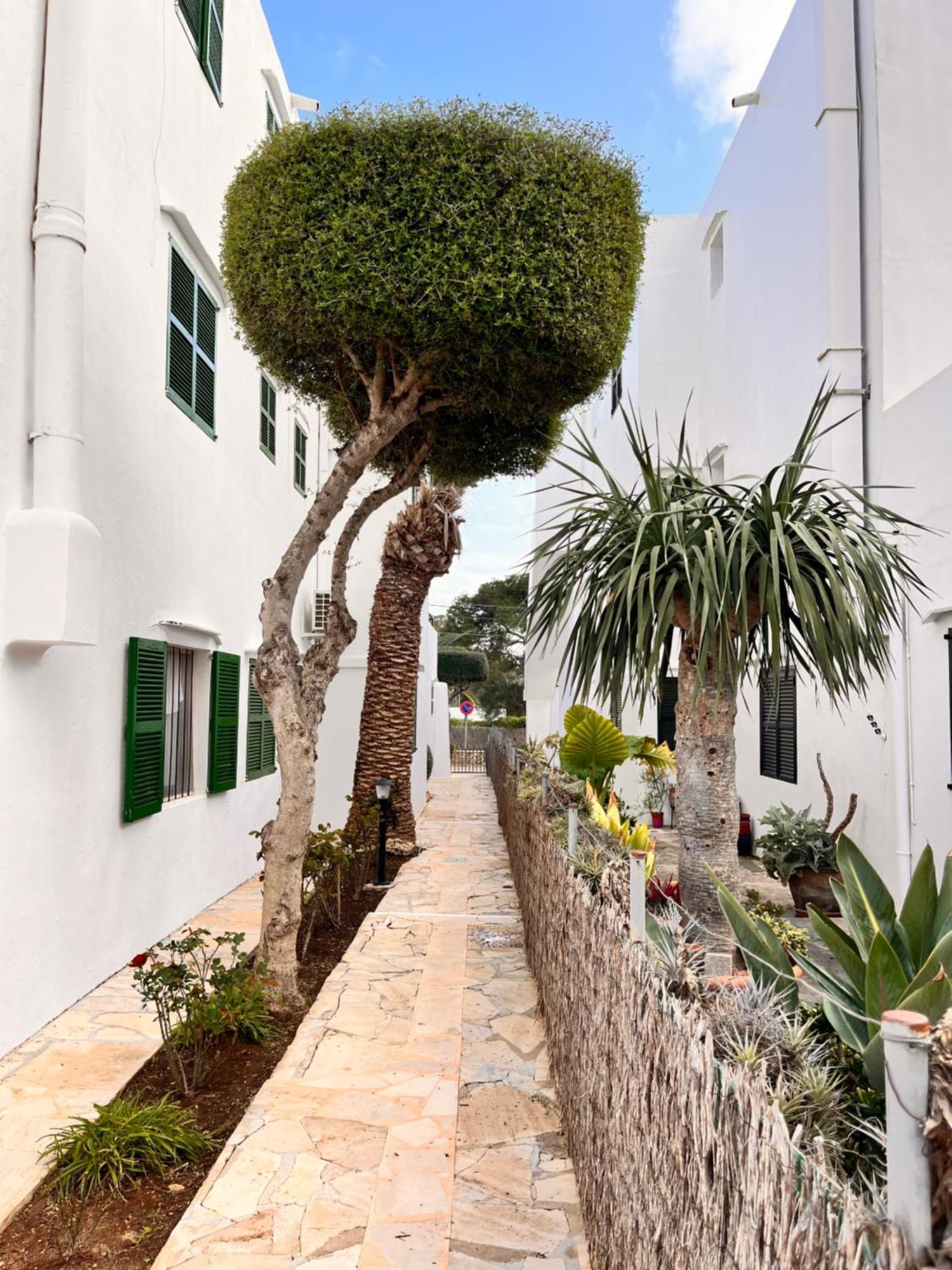 Casa Ceiba Maria Hotel Cala d'Or  Ngoại thất bức ảnh